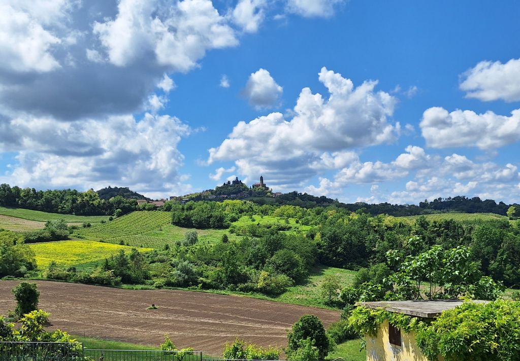 Impulso e Direzione – Ritiro di movimento consapevole tra natura e colline del Monferrato