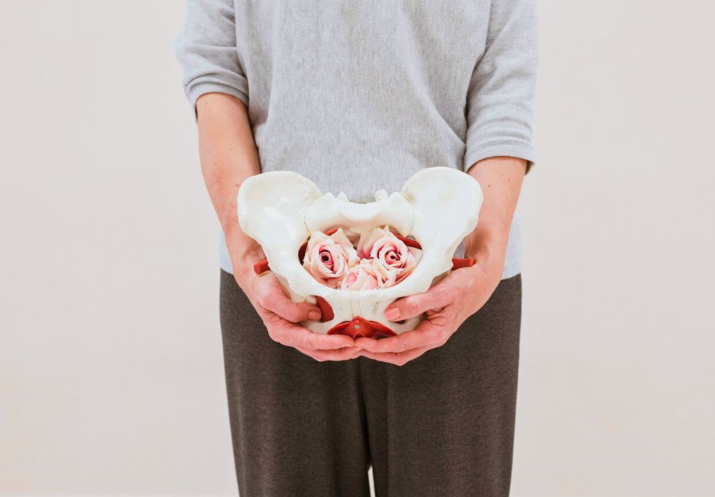 Bacino e Pavimento Pelvico